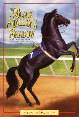 The black stallion's shadow