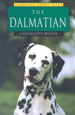 The dalmatian