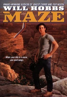 The maze