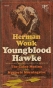 Youngblood Hawke : a novel