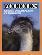 Ostriches, emus, rheas, kiwis, & cassowaries