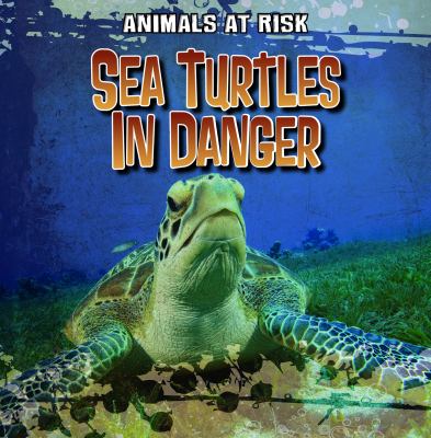 Sea turtles in danger