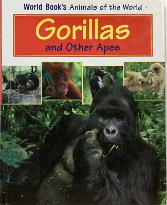 Gorillas and other apes.