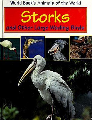 Storks and other large wading birds.