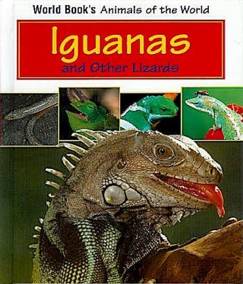 Iguanas and other lizards.