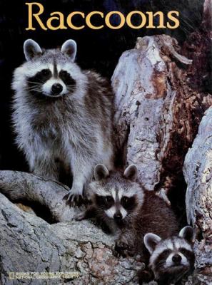 Raccoons