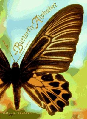 The butterfly alphabet