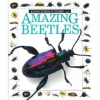 Amazing beetles