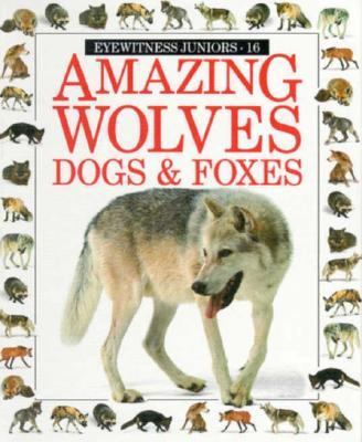 Amazing wolves, dogs & foxes