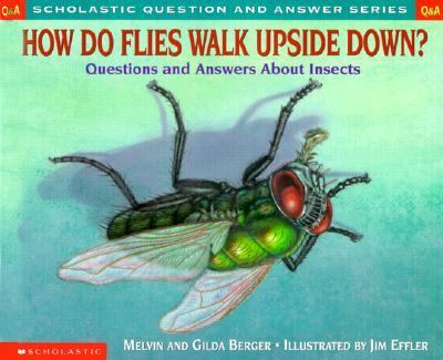 How Do Flies Walk Upside Down? : Questions and Answers About Insects