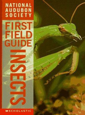 National Audubon First Field Guide : Insects