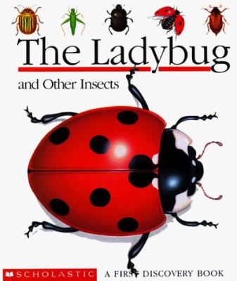 Ladybug and other insects