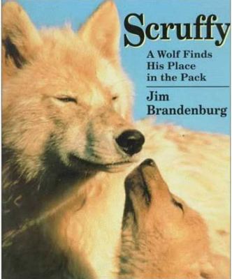 Scruffy : a wolf finds his place in the pack