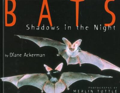 Bats : shadows in the night