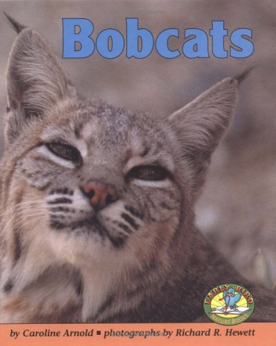 Bobcats