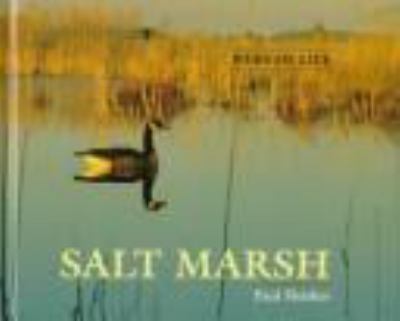 Salt marsh