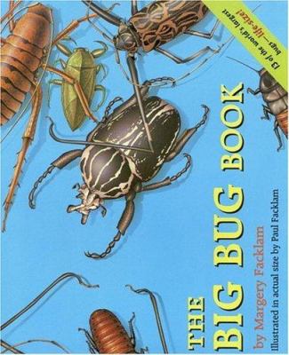 The big bug book