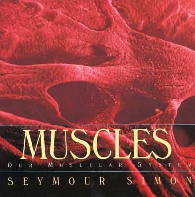 Muscles : our muscular system