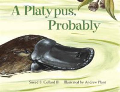 A platypus, probably