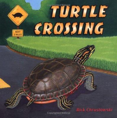 Turtle crossing