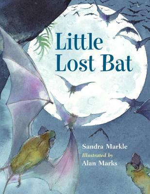 Little lost bat