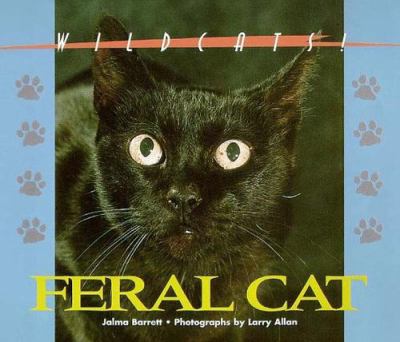 Feral cat
