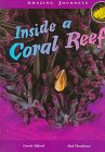 Inside a coral reef
