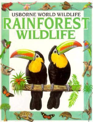 Rainforest wildlife