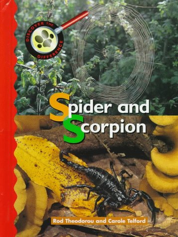 Spider and scorpion