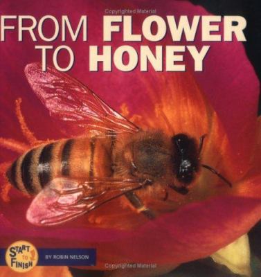 From flower to honey