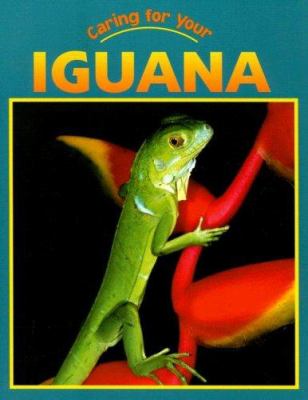 Caring for your iguana