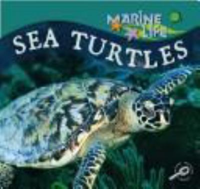 Sea turtles