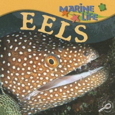 Eels