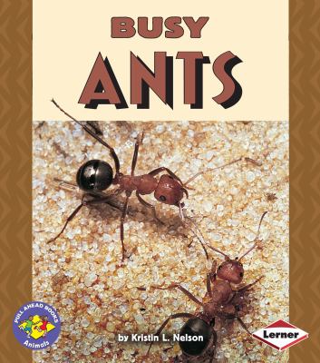 Busy ants