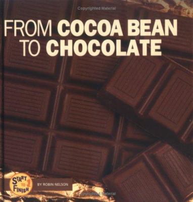 From cocoa bean to chocolate