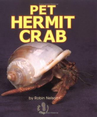 Pet hermit crab