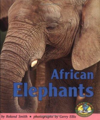 African elephants