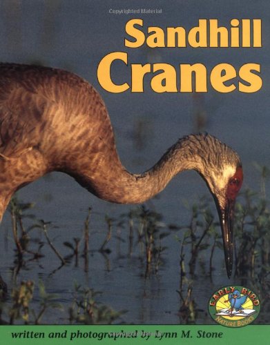 Sandhill cranes