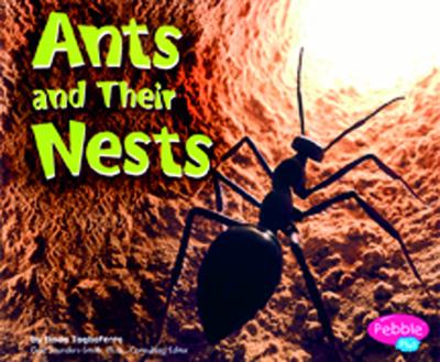 Ants and their nests