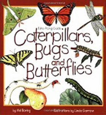 Caterpillars, bugs and butterflies