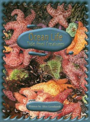 Ocean life: Tide pool creatures.