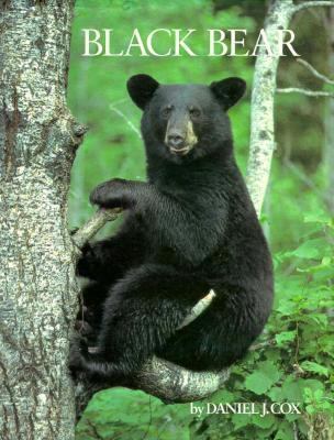 Black bear