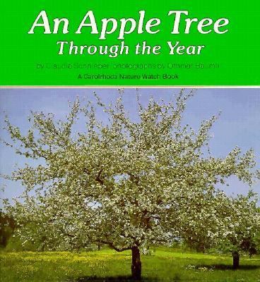 A apple tree through the year