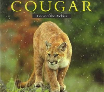 Cougar : ghost of the Rockies