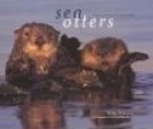 Sea otters : a natural history and guide