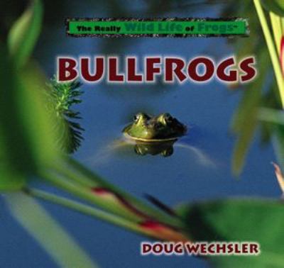 Bullfrogs.