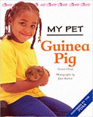 Guinea pig