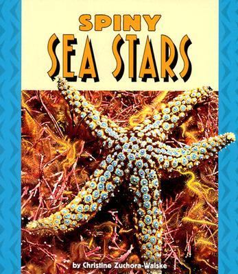 Spiny sea stars