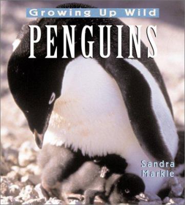 Penguins /.