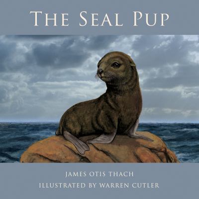 The seal pup